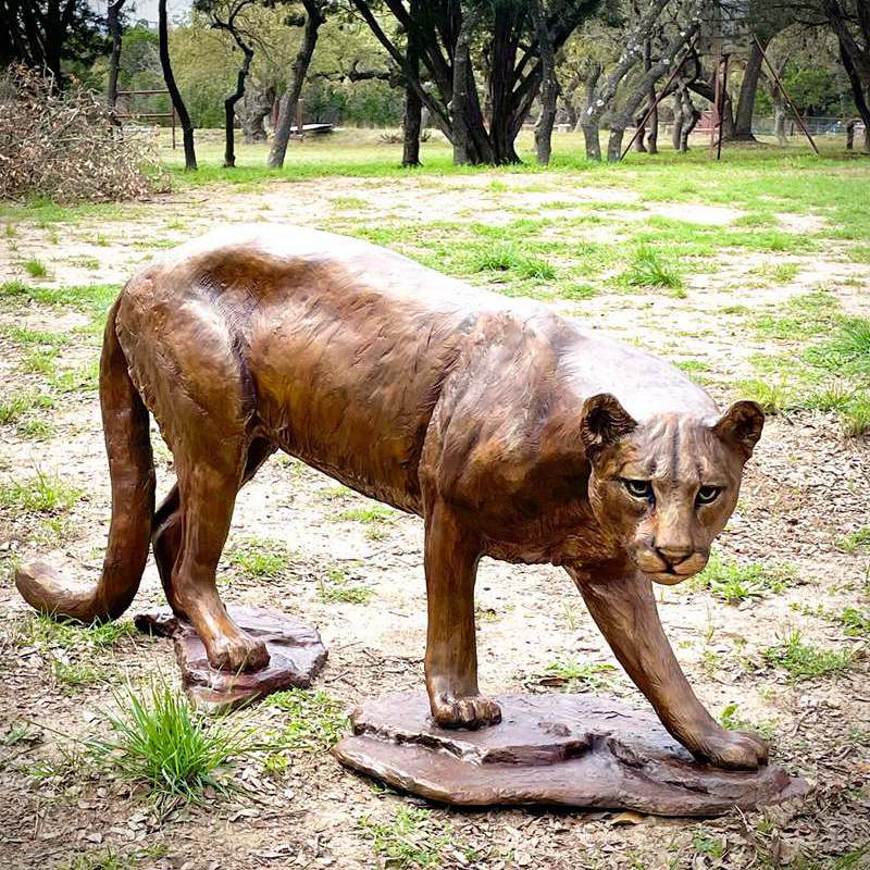 Bronze North American Cougar