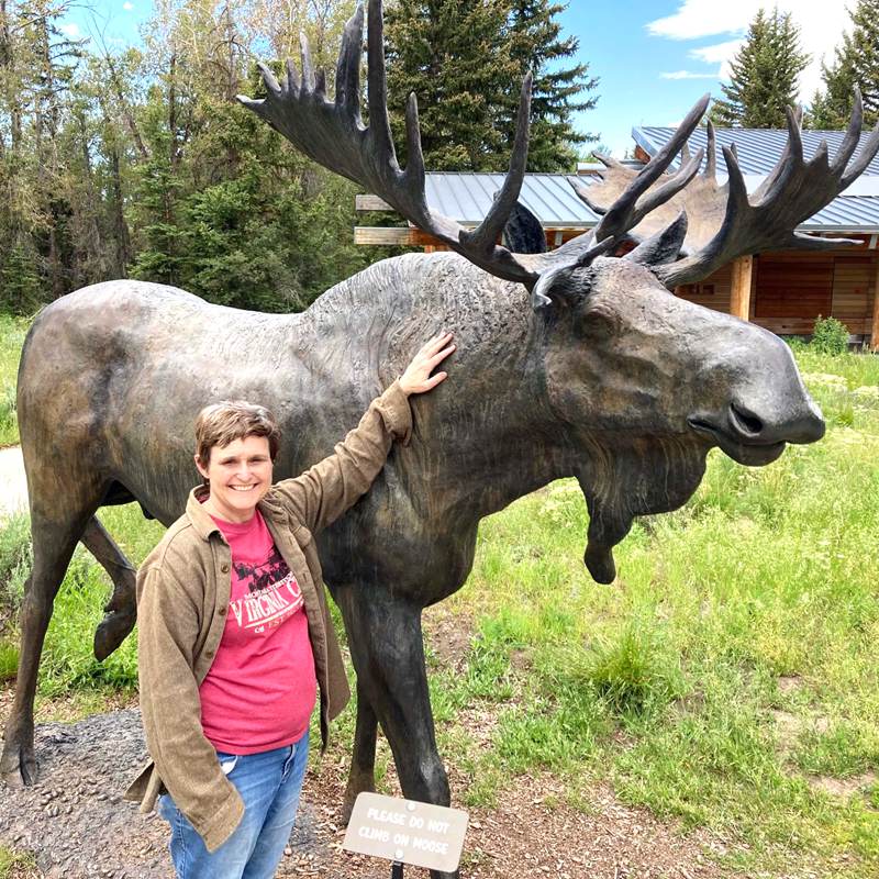 Life-size Bronze Moose Yard Statue Lawn Decor BOK1-161 - Bronze Deer Sculpture - 14