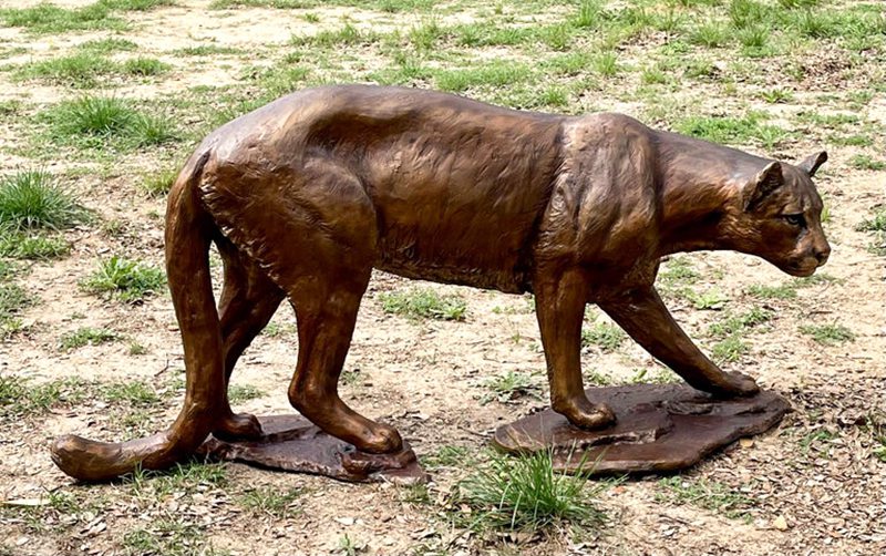 Life Size Bronze Mountain Lion Statue Factory Supplier - Bronze Lion Statues - 6