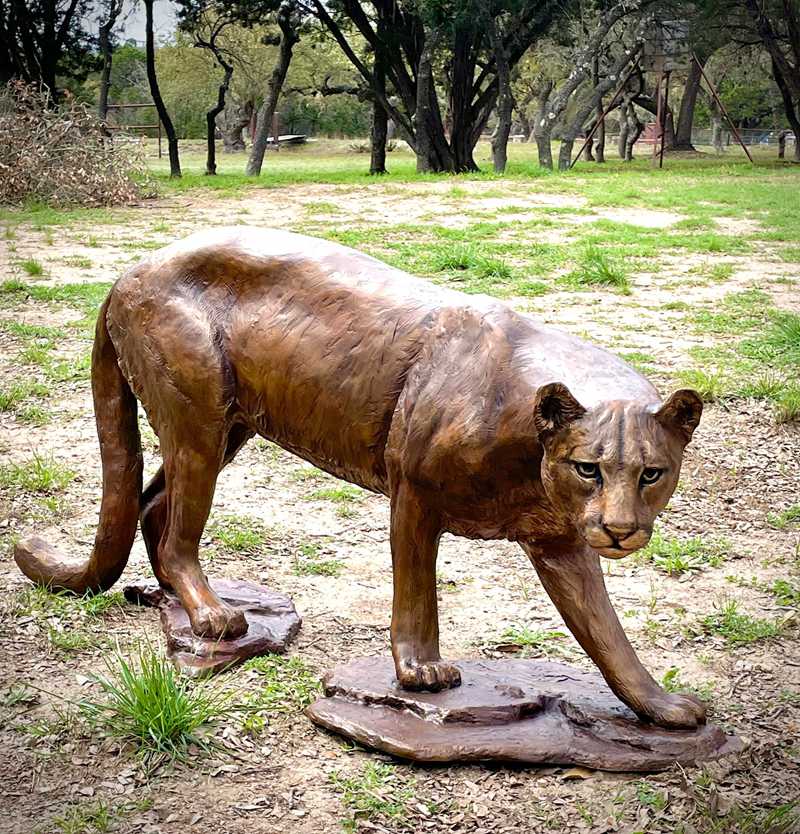 Life Size Bronze Mountain Lion Statue Factory Supplier - Bronze Lion Statues - 5