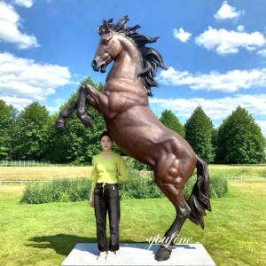 Outdoor Life-Size Metal Rearing Horse Statue BOKK-236